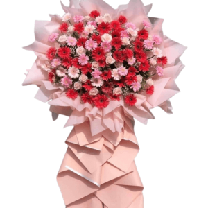 Khai Trương Hồng Phát 1