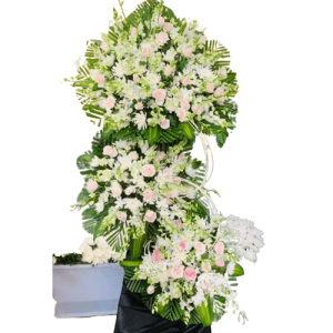 Bình An 27
