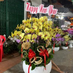 Vạn Phúc 29