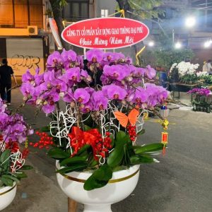 Vạn Phúc 30